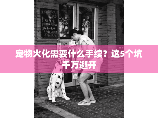 宠物火化需要什么手续？这5个坑千万避开