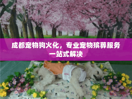 成都宠物狗火化，专业宠物殡葬服务一站式解决