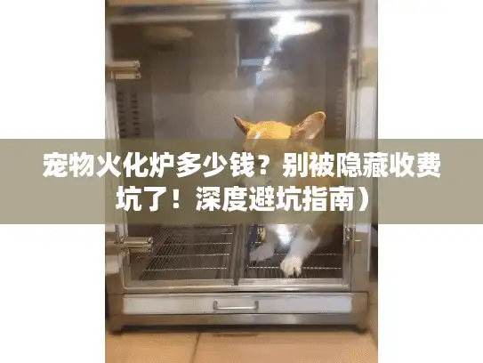 宠物火化炉多少钱?别被隐藏收费坑了!深度避坑指南) 宠物火化炉多少钱?别被隐藏收费坑了!深度避坑指南)
