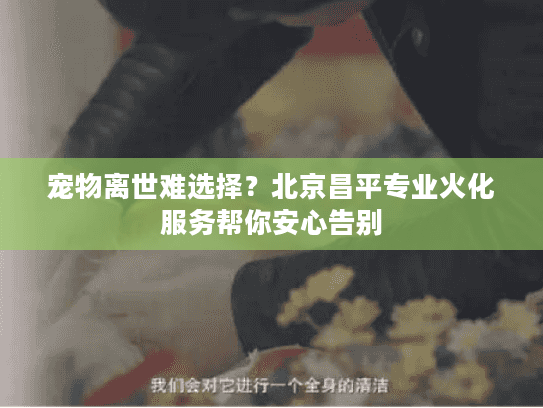 宠物离世难选择？北京昌平专业火化服务帮你安心告别
