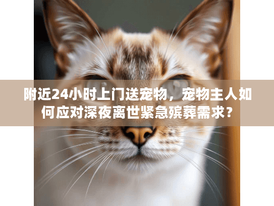 附近24小时上门送宠物，宠物主人如何应对深夜离世紧急殡葬需求？