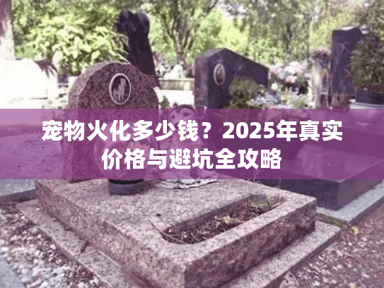 宠物火化多少钱?2025年真实价格与避坑全攻略 宠物火化多少钱?2025年真实价格与避坑全攻略