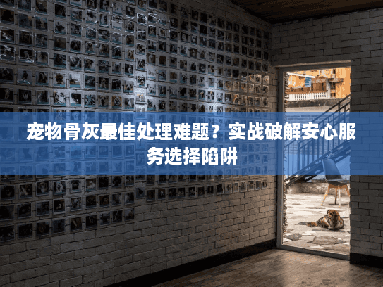 宠物骨灰最佳处理难题？实战破解安心服务选择陷阱
