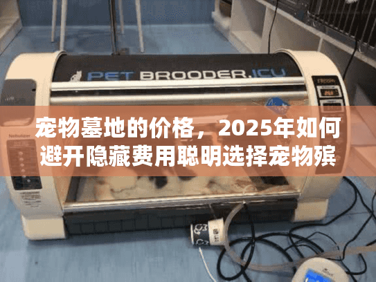 宠物墓地的价格，2025年如何避开隐藏费用聪明选择宠物殡葬服务？