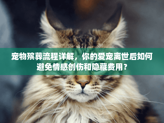 宠物殡葬流程详解，你的爱宠离世后如何避免情感创伤和隐藏费用？