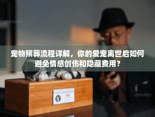 宠物殡葬流程详解，你的爱宠离世后如何避免情感创伤和隐藏费用？