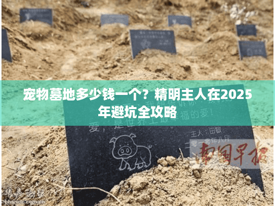 宠物墓地多少钱一个？精明主人在2025年避坑全攻略