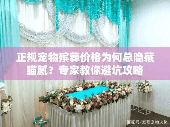 正规宠物殡葬价格为何总隐藏猫腻？专家教你避坑攻略