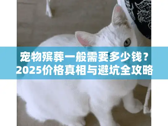 宠物殡葬一般需要多少钱？2025价格真相与避坑全攻略