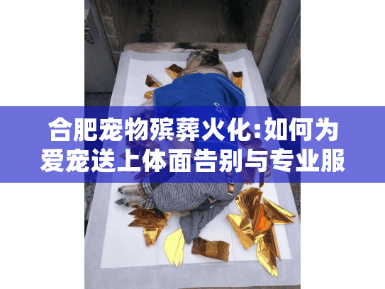 合肥宠物殡葬火化:如何为爱宠送上体面告别与专业服务?