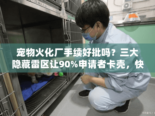 宠物火化厂手续好批吗？三大隐藏雷区让90%申请者卡壳，快学这招避坑！