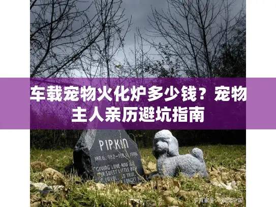 车载宠物火化炉多少钱?宠物主人亲历避坑指南 车载宠物火化炉多少钱?宠物主人亲历避坑指南