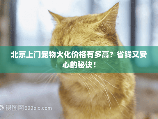 北京上门宠物火化价格有多高？省钱又安心的秘诀！