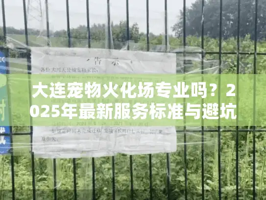 大连宠物火化场专业吗？2025年最新服务标准与避坑指南