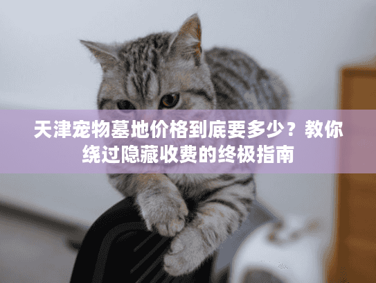 天津宠物墓地价格到底要多少？教你绕过隐藏收费的终极指南