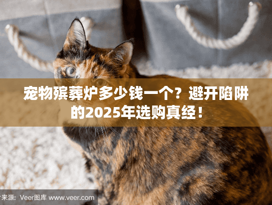 宠物殡葬炉多少钱一个？避开陷阱的2025年选购真经！