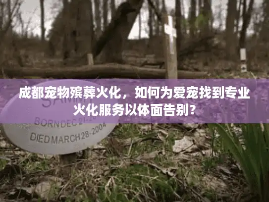 成都宠物殡葬火化，如何为爱宠找到专业火化服务以体面告别？