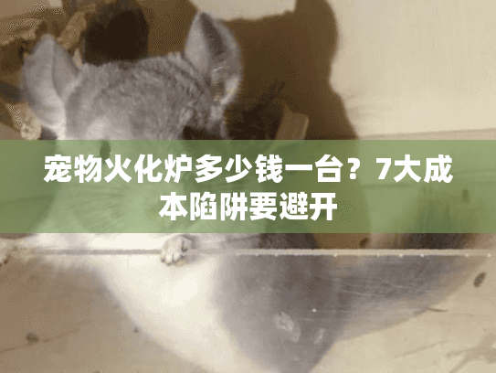 宠物火化炉多少钱一台？7大成本陷阱要避开