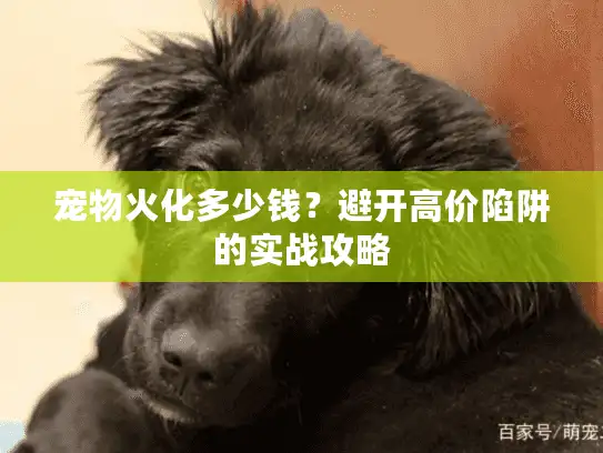 宠物火化多少钱?避开高价陷阱的实战攻略 宠物火化多少钱?避开高价陷阱的实战攻略