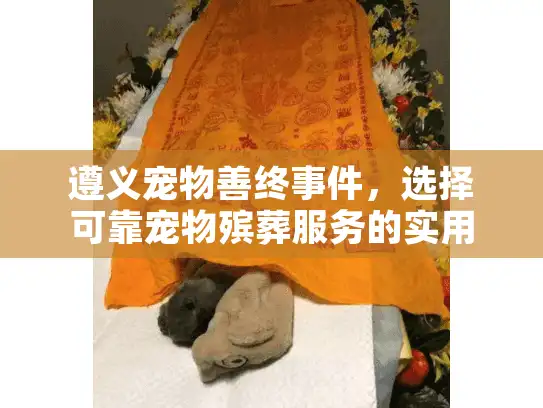 遵义宠物善终事件，选择可靠宠物殡葬服务的实用指南