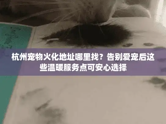 杭州宠物火化地址哪里找?告别爱宠后这些温暖服务点可安心选择 杭州宠物火化地址哪里找?告别爱宠后这些温暖服务点可安心选择