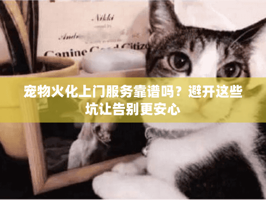 宠物火化上门服务靠谱吗？避开这些坑让告别更安心