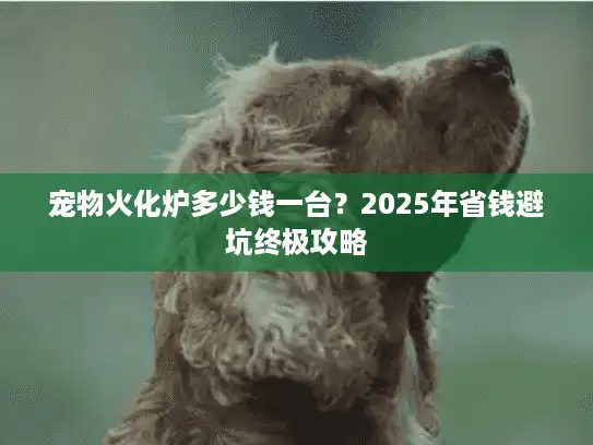 宠物火化炉多少钱一台?2025年省钱避坑终极攻略 宠物火化炉多少钱一台?2025年省钱避坑终极攻略