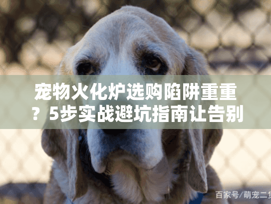 宠物火化炉选购陷阱重重？5步实战避坑指南让告别更安心！