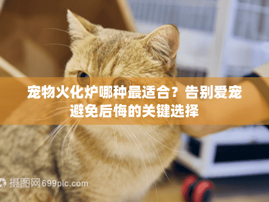 宠物火化炉哪种最适合？告别爱宠避免后悔的关键选择