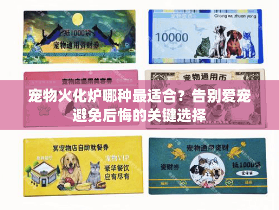 宠物火化炉哪种最适合？告别爱宠避免后悔的关键选择