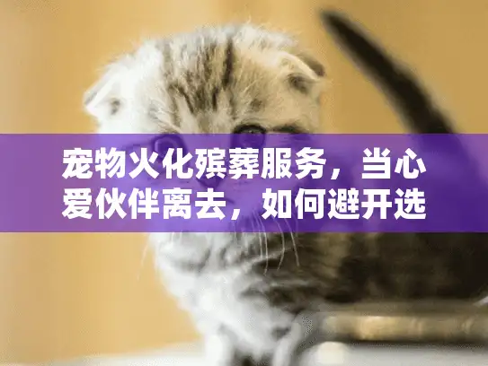 宠物火化殡葬服务，当心爱伙伴离去，如何避开选择陷阱？46字符）