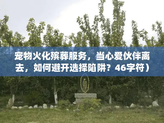 宠物火化殡葬服务，当心爱伙伴离去，如何避开选择陷阱？46字符）