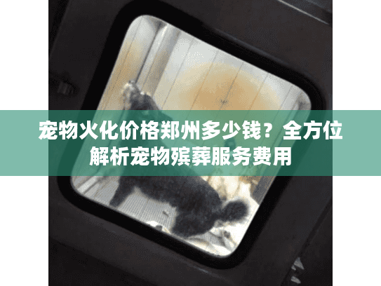 宠物火化价格郑州多少钱？全方位解析宠物殡葬服务费用