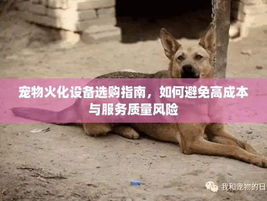 宠物火化设备选购指南，如何避免高成本与服务质量风险