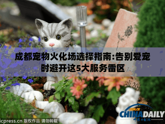 成都宠物火化场选择指南:告别爱宠时避开这5大服务雷区