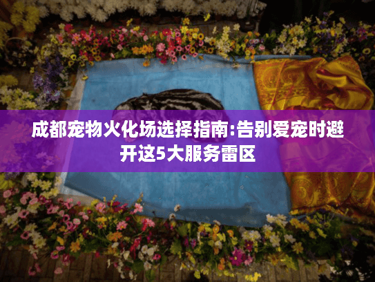 成都宠物火化场选择指南:告别爱宠时避开这5大服务雷区
