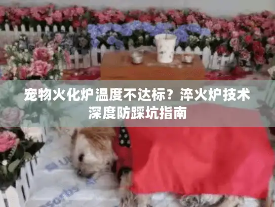 宠物火化炉温度不达标?淬火炉技术深度防踩坑指南 宠物火化炉温度不达标?淬火炉技术深度防踩坑指南