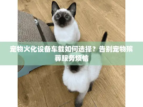 宠物火化设备车载如何选择？告别宠物殡葬服务烦恼