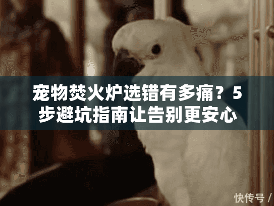 宠物焚火炉选错有多痛？5步避坑指南让告别更安心