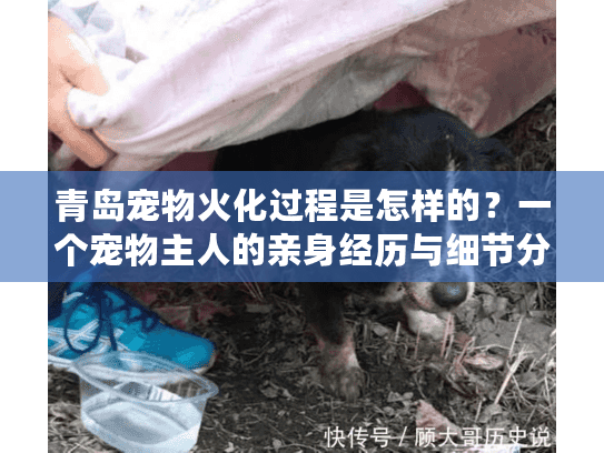 青岛宠物火化过程是怎样的？一个宠物主人的亲身经历与细节分享