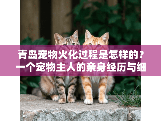 青岛宠物火化过程是怎样的？一个宠物主人的亲身经历与细节分享