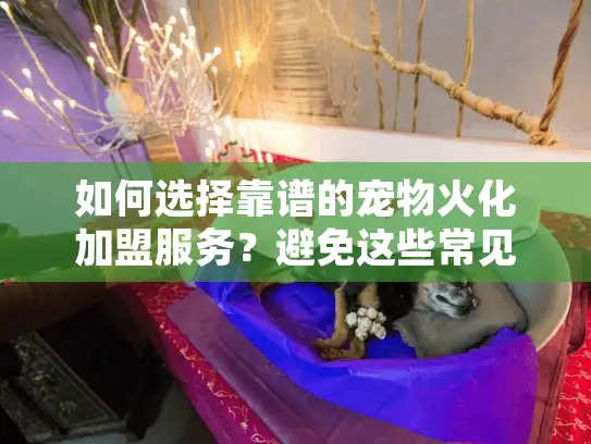 如何选择靠谱的宠物火化加盟服务?避免这些常见陷阱! 如何选择靠谱的宠物火化加盟服务?避免这些常见陷阱!