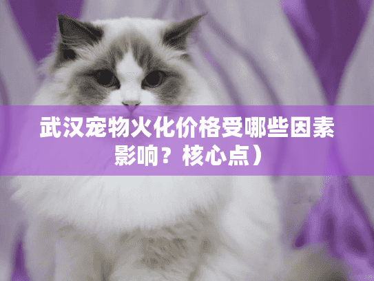 武汉宠物火化价格受哪些因素影响？核心点）