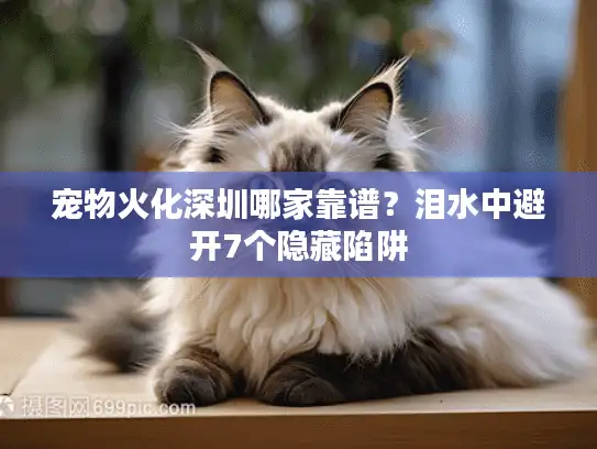 宠物火化深圳哪家靠谱？泪水中避开7个隐藏陷阱