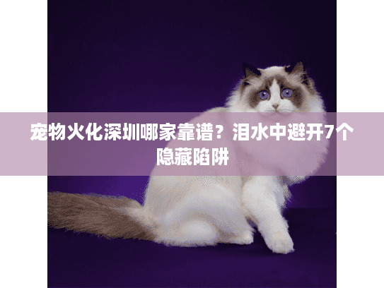 宠物火化深圳哪家靠谱？泪水中避开7个隐藏陷阱