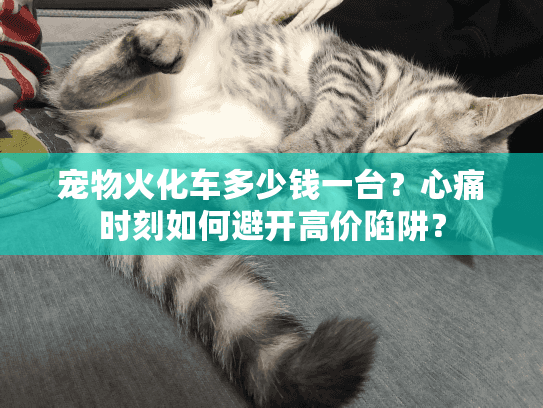 宠物火化车多少钱一台？心痛时刻如何避开高价陷阱？