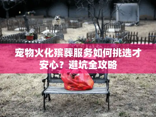 宠物火化殡葬服务如何挑选才安心？避坑全攻略