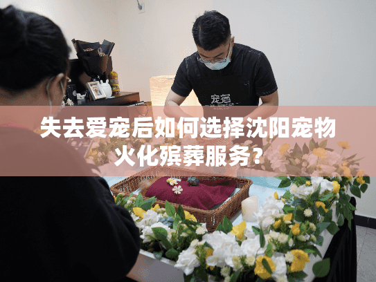 失去爱宠后如何选择沈阳宠物火化殡葬服务？