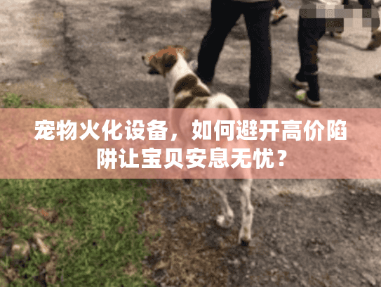 宠物火化设备，如何避开高价陷阱让宝贝安息无忧？