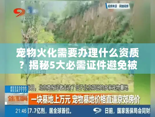 宠物火化需要办理什么资质？揭秘5大必需证件避免被坑